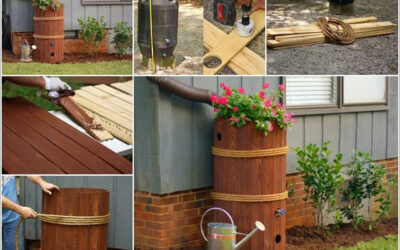 Esővíztárolás – a jövő